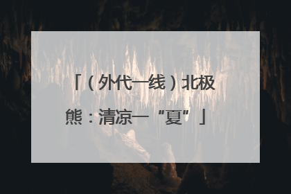 （外代一线）北极熊：清凉一“夏”