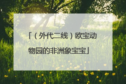 （外代二线）欧宝动物园的非洲象宝宝