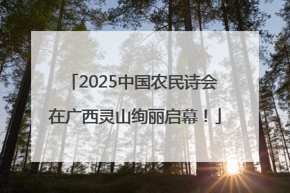 2025中国农民诗会在广西灵山绚丽启幕！