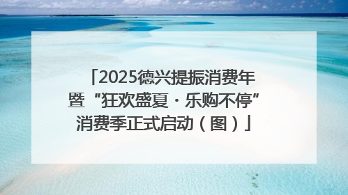 2025德兴提振消费年暨“狂欢盛夏・乐购不停”消费季正式启动（图）