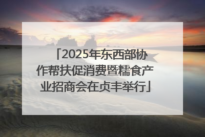 2025年东西部协作帮扶促消费暨糯食产业招商会在贞丰举行