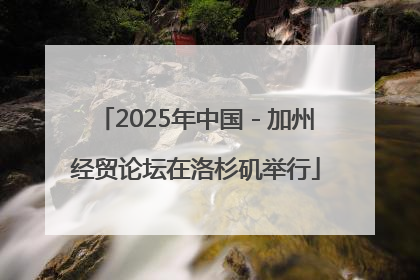 2025年中国－加州经贸论坛在洛杉矶举行