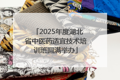 2025年度湖北省中医药适宜技术培训班圆满举办