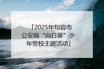 2025年句容市公安局“向日葵”少年警校主题活动