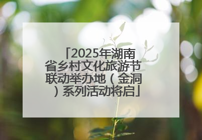 2025年湖南省乡村文化旅游节联动举办地（金洞）系列活动将启