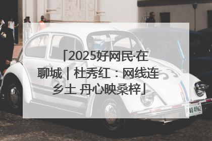 2025好网民·在聊城｜杜秀红：网线连乡土 丹心映桑梓