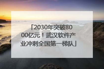 2030年突破8000亿元！武汉软件产业冲刺全国第一梯队