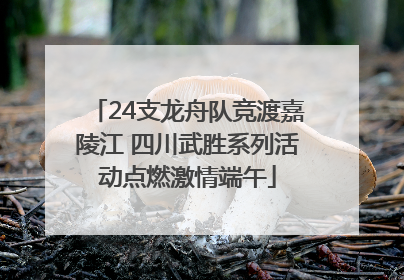 24支龙舟队竞渡嘉陵江 四川武胜系列活动点燃激情端午