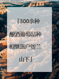 300余种酿酒葡萄品种相继落户贺兰山下