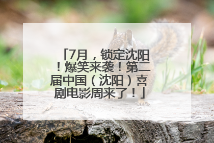 7月，锁定沈阳！爆笑来袭！第二届中国（沈阳）喜剧电影周来了！