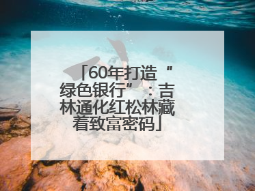 60年打造“绿色银行”：吉林通化红松林藏着致富密码
