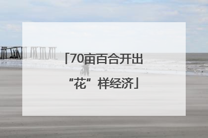 70亩百合开出“花”样经济