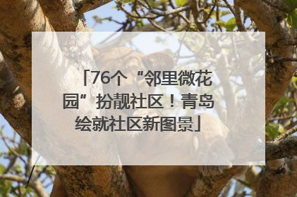 76个“邻里微花园”扮靓社区！青岛绘就社区新图景