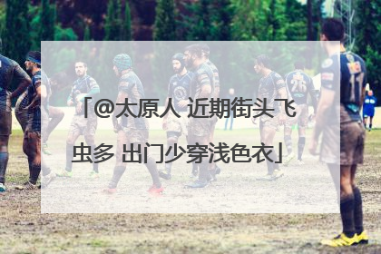 @太原人 近期街头飞虫多 出门少穿浅色衣