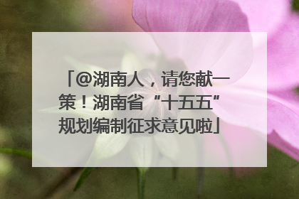 @湖南人，请您献一策！湖南省“十五五”规划编制征求意见啦