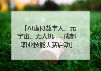 AI虚拟数字人、元宇宙、无人机……成都职业技能大赛启动