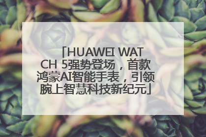 HUAWEI WATCH 5强势登场，首款鸿蒙AI智能手表，引领腕上智慧科技新纪元