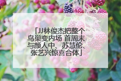 JJ林俊杰把整个鸟巢变内场 首周末与颜人中、苏慧伦、张艺兴惊喜合体