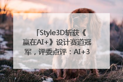 Style3D斩获《赢在AI+》设计赛道冠军，评委点评：AI+3D技术世界第一